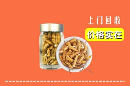 理塘县回收散虫草