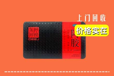 理塘县回收阿胶