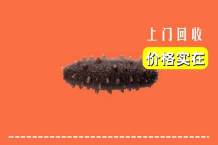 理塘县回收海参