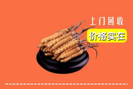 理塘县回收冬虫夏草