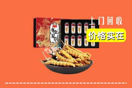 理塘县回收虫草